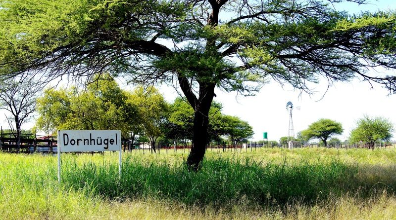 Hotel Dornhuegel Guestfarm Grootfontein Exterior foto