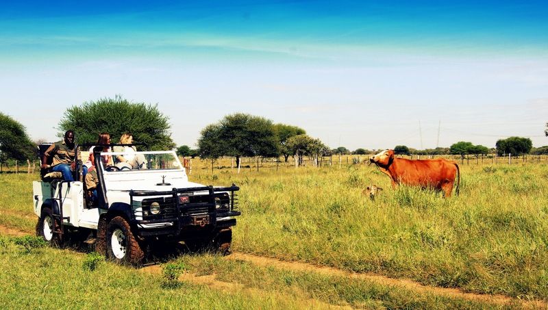 Hotel Dornhuegel Guestfarm Grootfontein Exterior foto